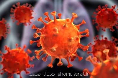 ۳ روز تا آخر فرصت ثبت نام متقاضیان وام جدید کرونا