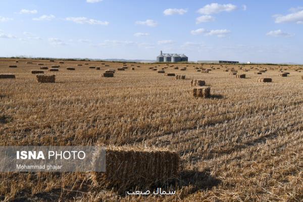 تولید بیش از ۵۷ میلیون تن محصولات زراعی در سال قبل