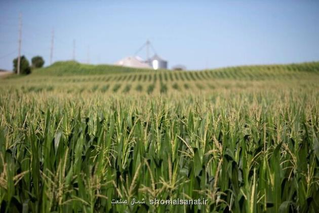 کاهش قیمت جهانی مواد غذایی