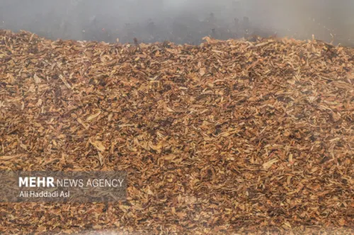 27 درصد بازار سیگار و 93 درصد بازار تنباکو در اختیار قاچاقچیان است