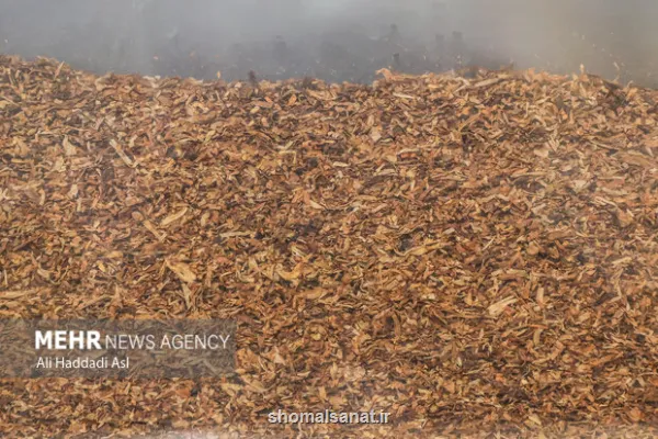 27 درصد بازار سیگار و 93 درصد بازار تنباکو در اختیار قاچاقچیان است