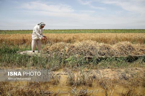 باید به سمت كشاورزی دانش بنیان حركت نماییم