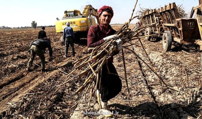 پرداخت بموقع حقوق كارگران هفت تپه