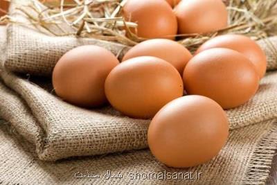 تعیین عوارض صادراتی تخم مرغ ۴۰۰ تومان در هر كیلوگرم