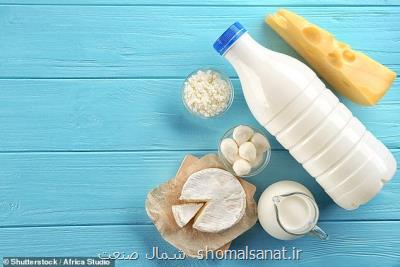 احتمال تجدیدنظر در لیست محصولات لبنی مشمول قیمت گذاری