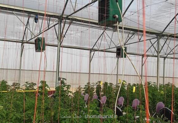 1300هكتار به گلخانه های ایران افزوده شد
