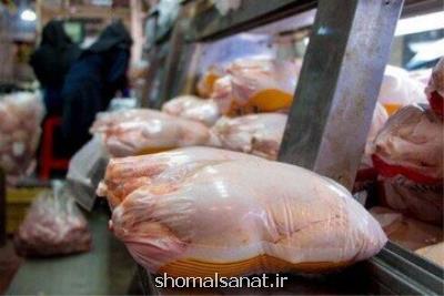 افزایش مجدد قیمت مرغ